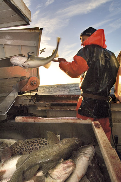 Havsfiske – sex turer på Nordatlanten